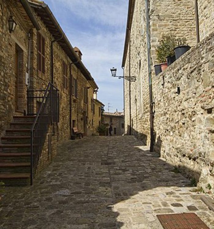 Montone